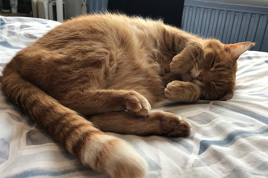 In loving memory of Charlie