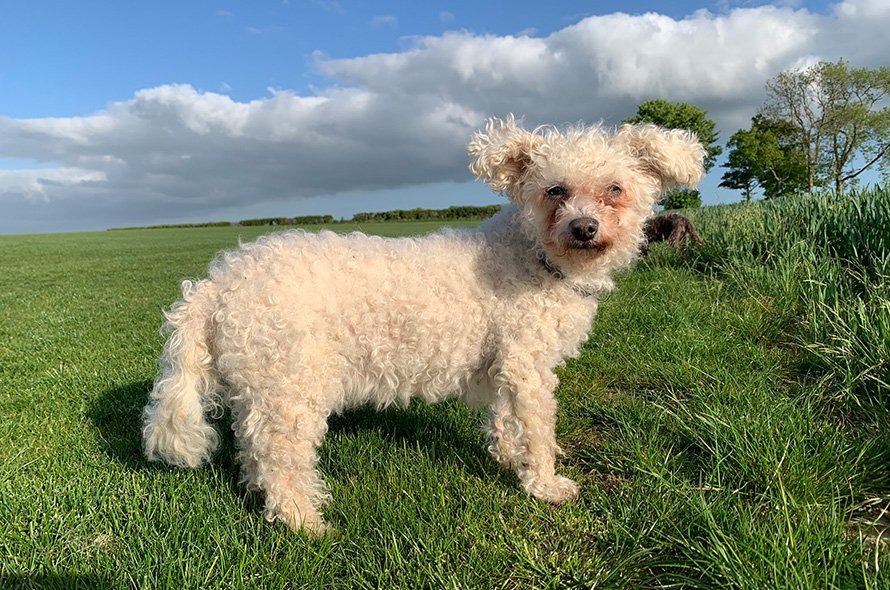 In loving memory of Phyllis