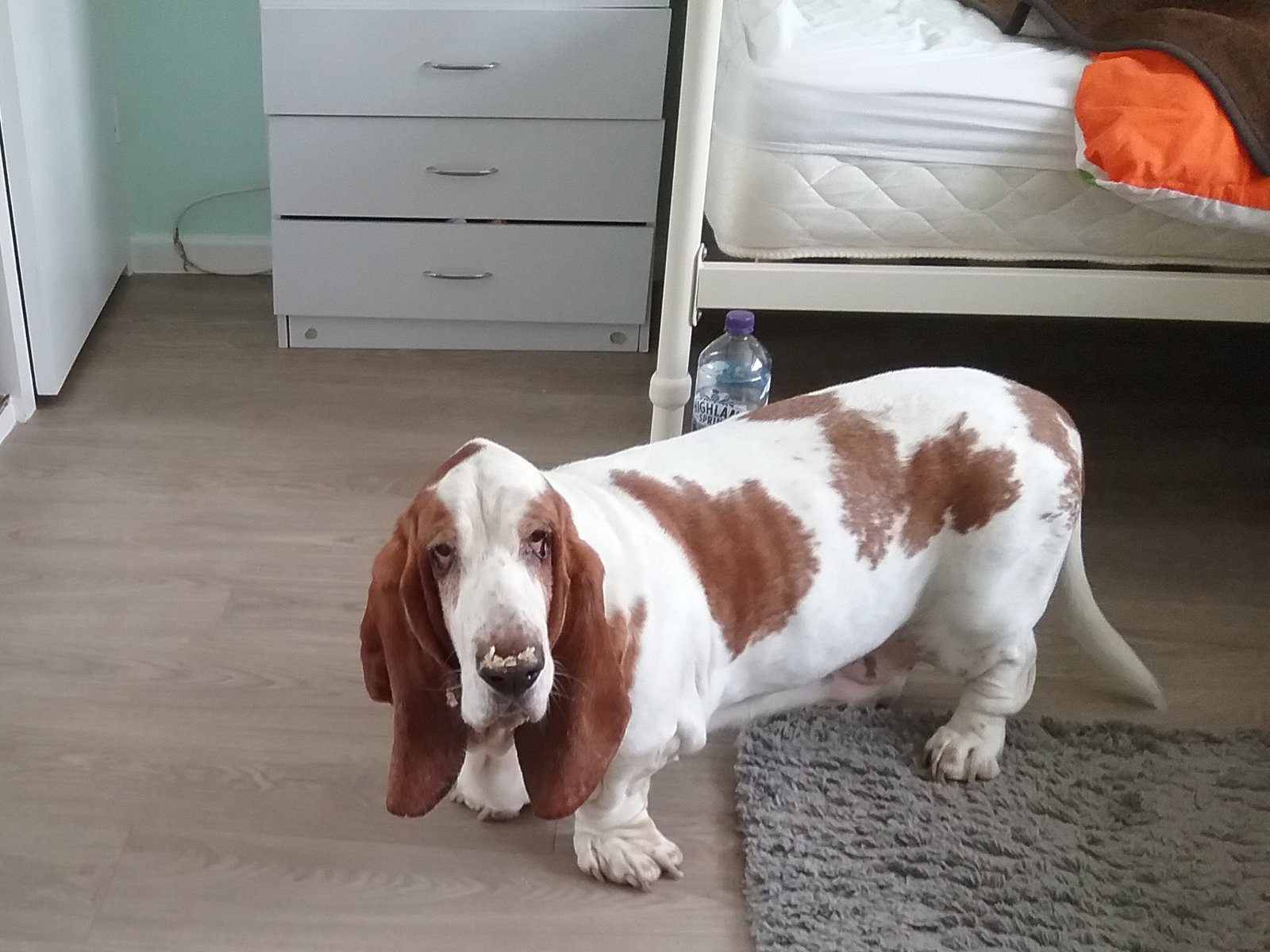 In loving memory of Stanlee