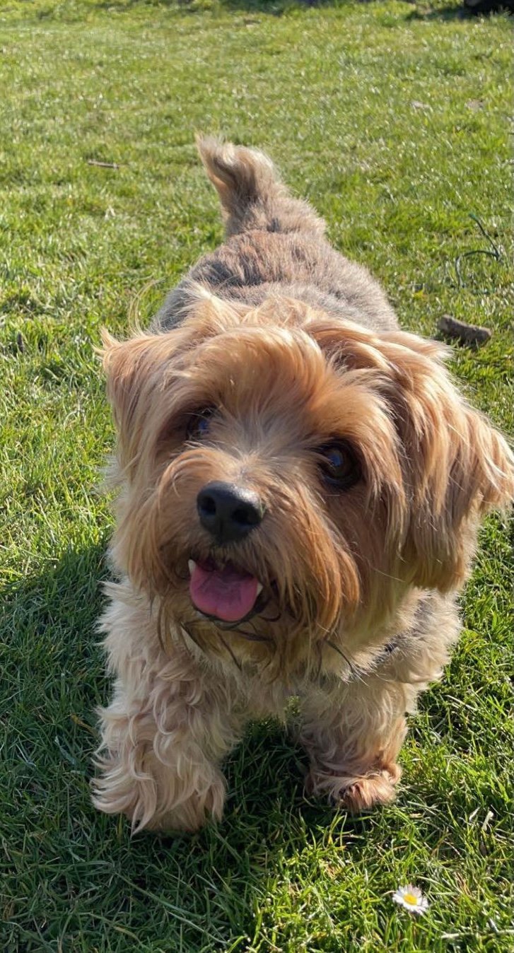 In loving memory of Bobby