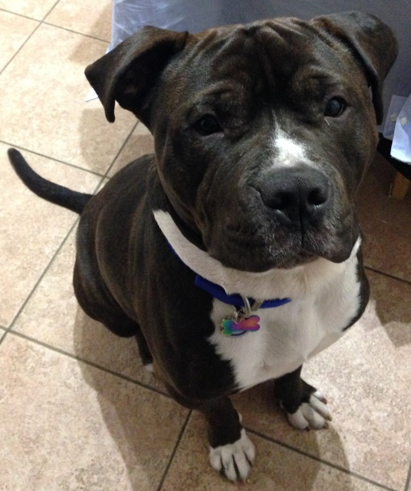 In loving memory of Riz