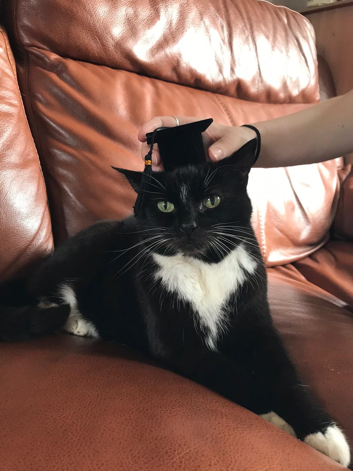 In loving memory of Wookey