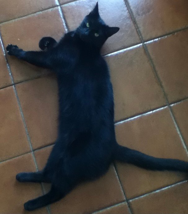 In loving memory of Benjy