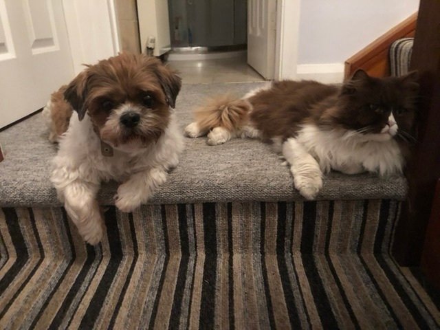 In loving memory of Harry