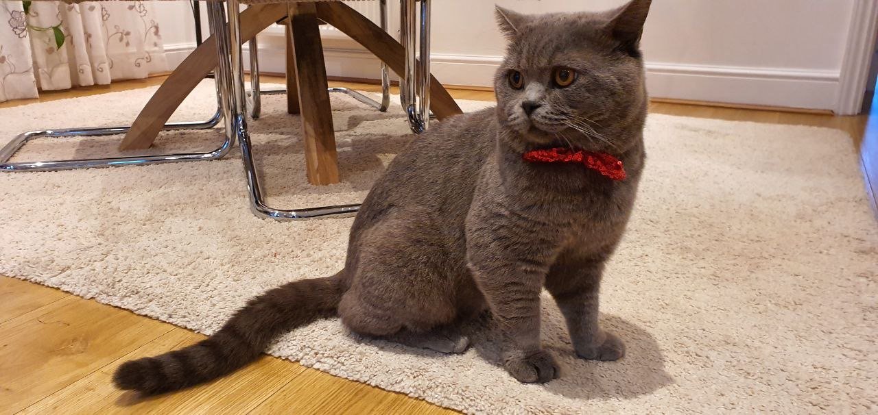 In loving memory of Dennis