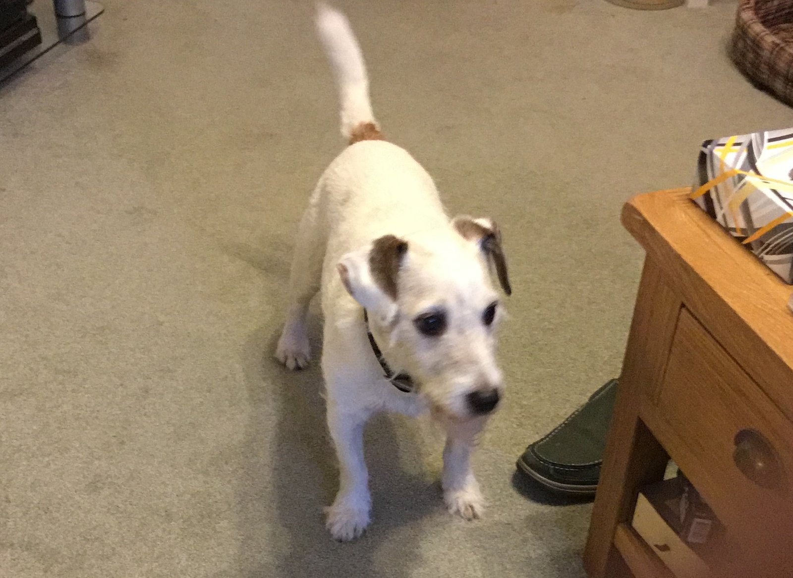 In loving memory of Arthur