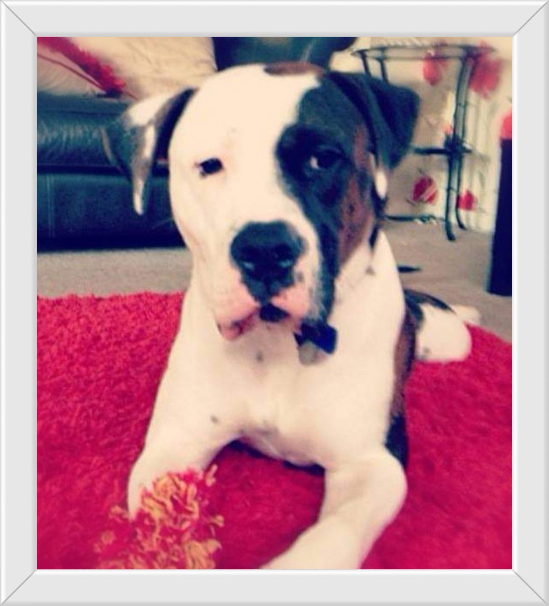 In loving memory of Hugo