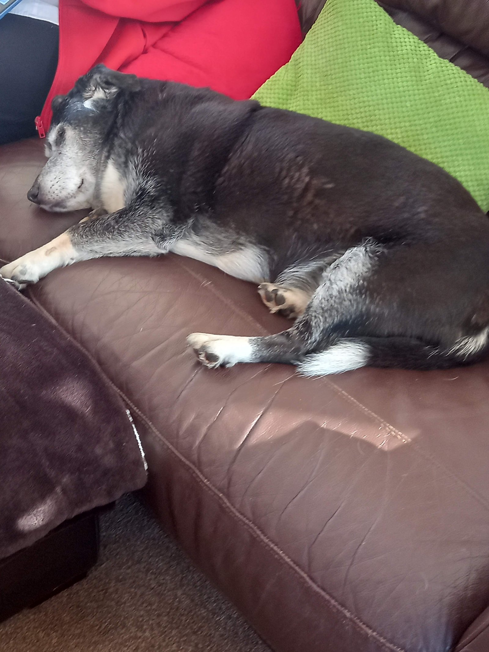 In loving memory of Jim