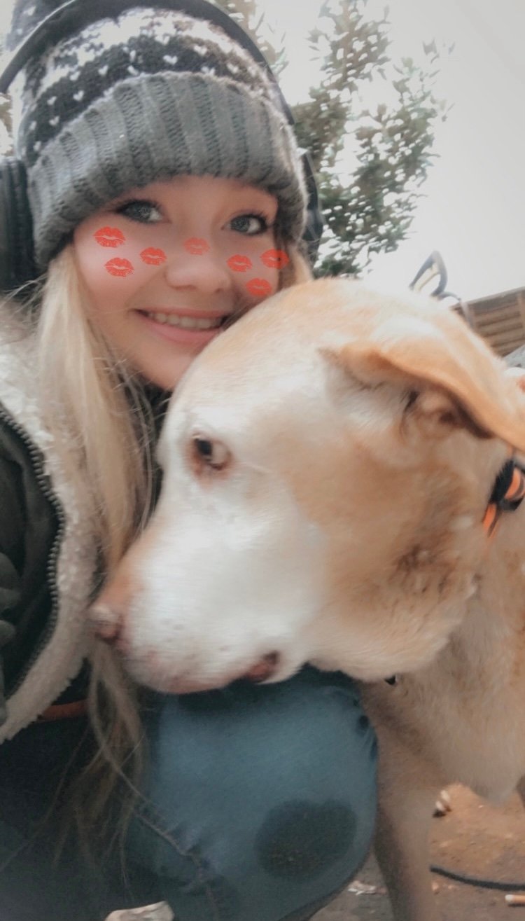 In loving memory of Bella