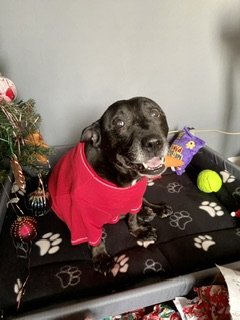 In loving memory of Sally