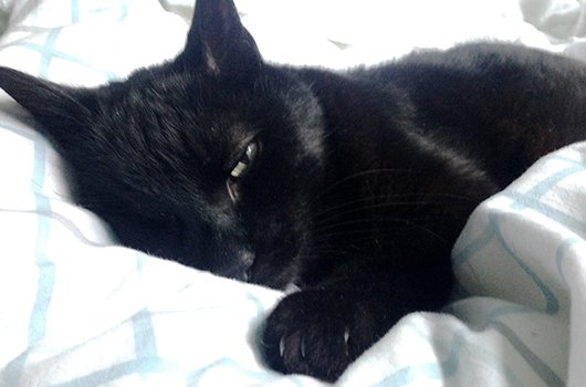 In loving memory of Nofo