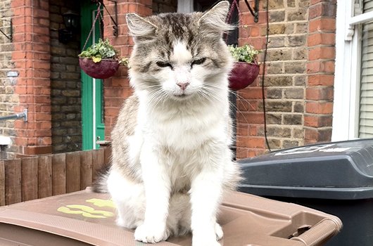 In loving memory of Big Frank