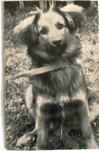 In loving memory of Foolscap