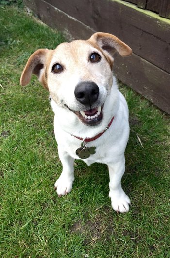 In loving memory of Dave