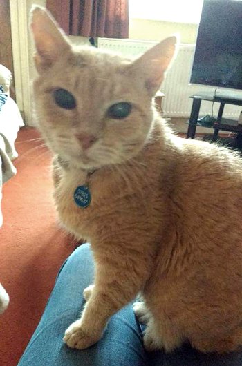 In loving memory of Ben