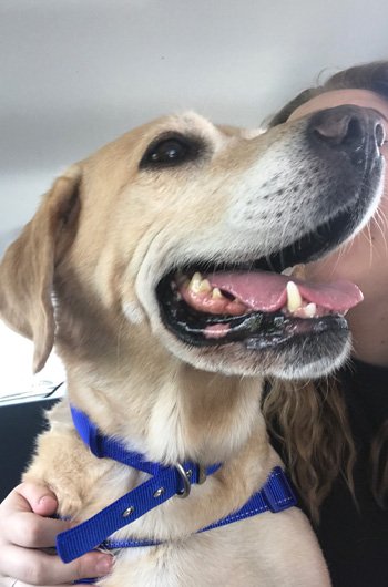 In loving memory of Max