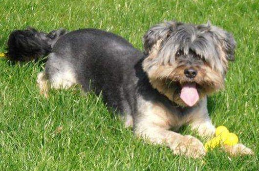 In loving memory of Mr Leo