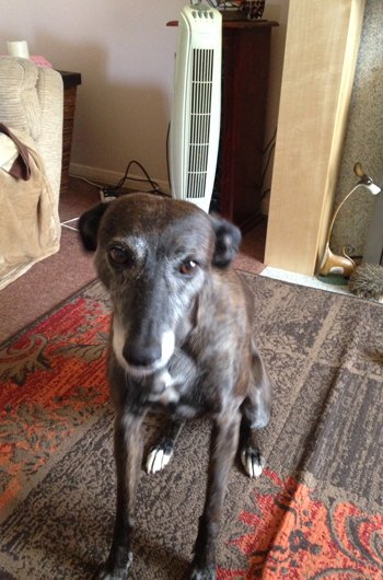 In loving memory of Ola