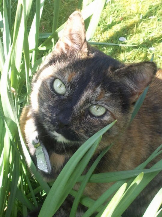 In loving memory of Dee Dee