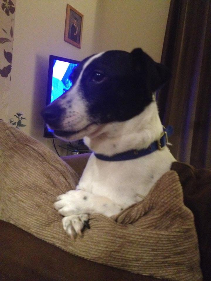 In loving memory of Charlie