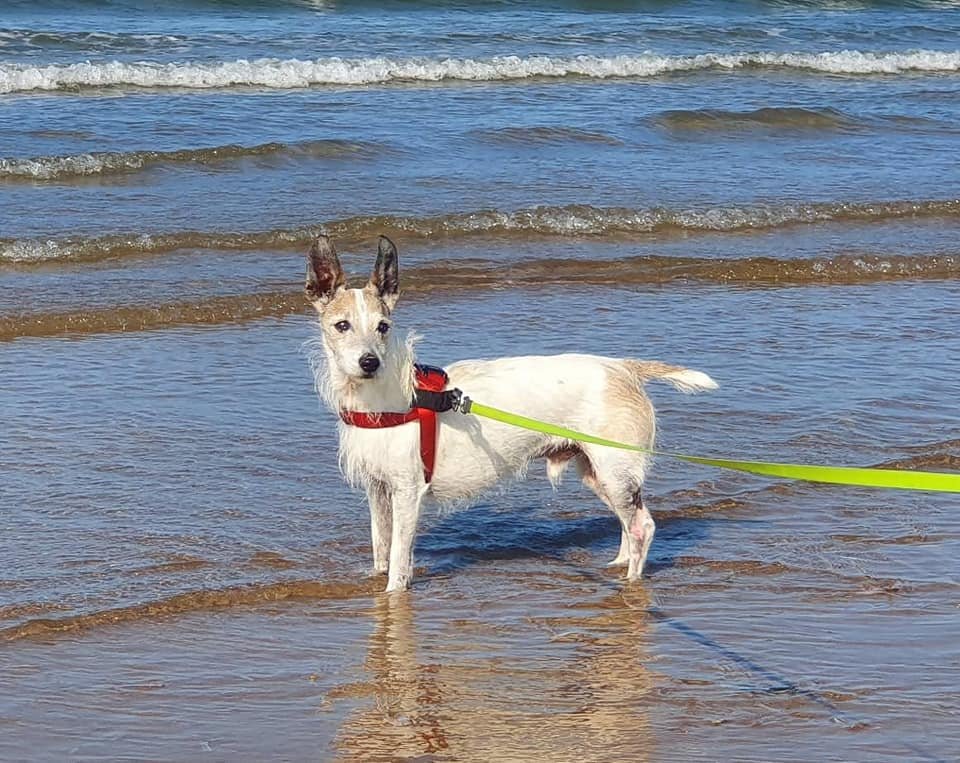 In Loving Memory of Leonard