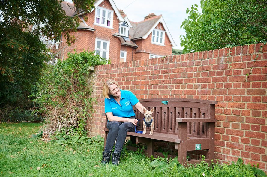 A Battersea volunteer sitting on a bench with a chihuahua