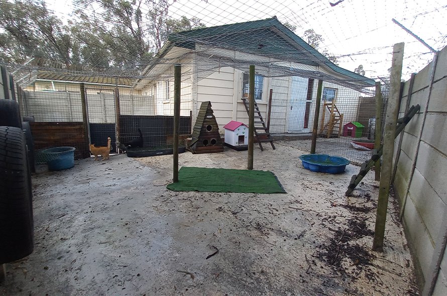 A cat friendly outdoor area