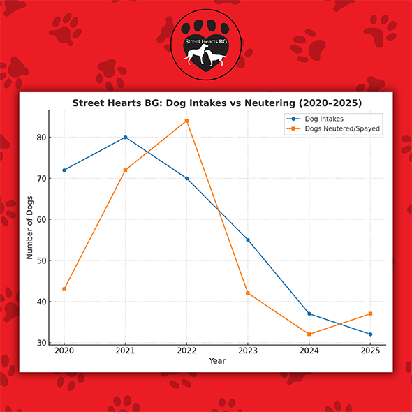 Street hearts BG dog intake vs neutering graph for 2020-2025 