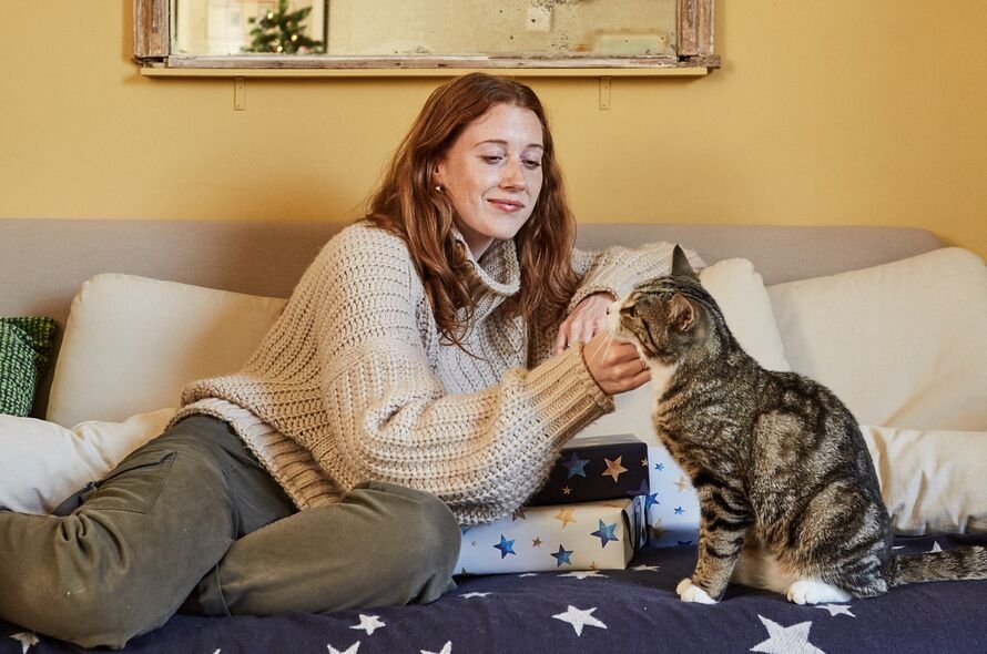 A person stroking the chin of a tabby cat