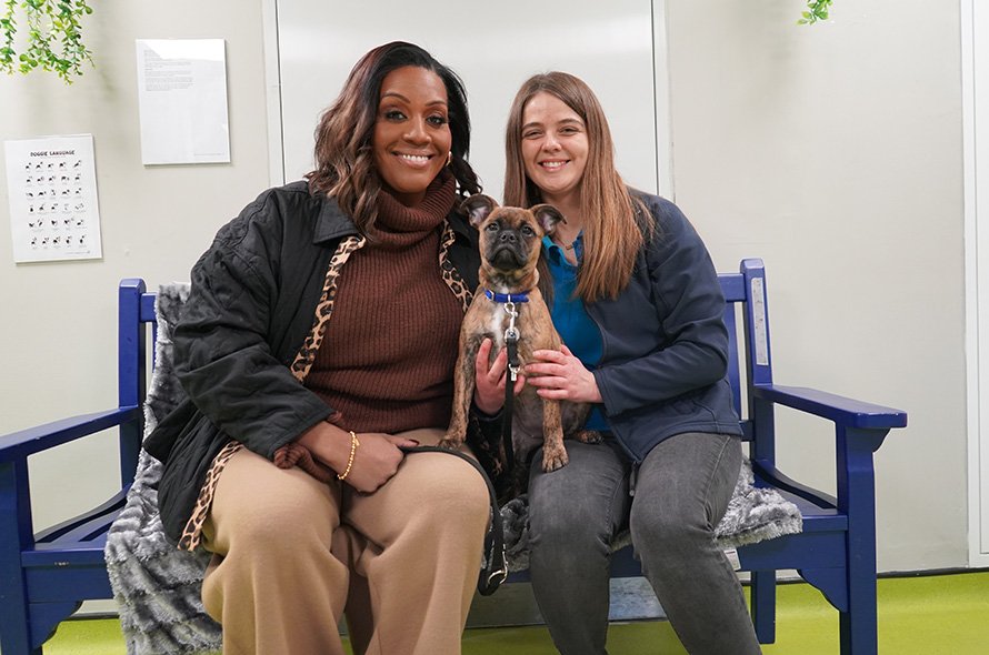 Alison Hammond and Battersea employee sitting on a bench with puppy