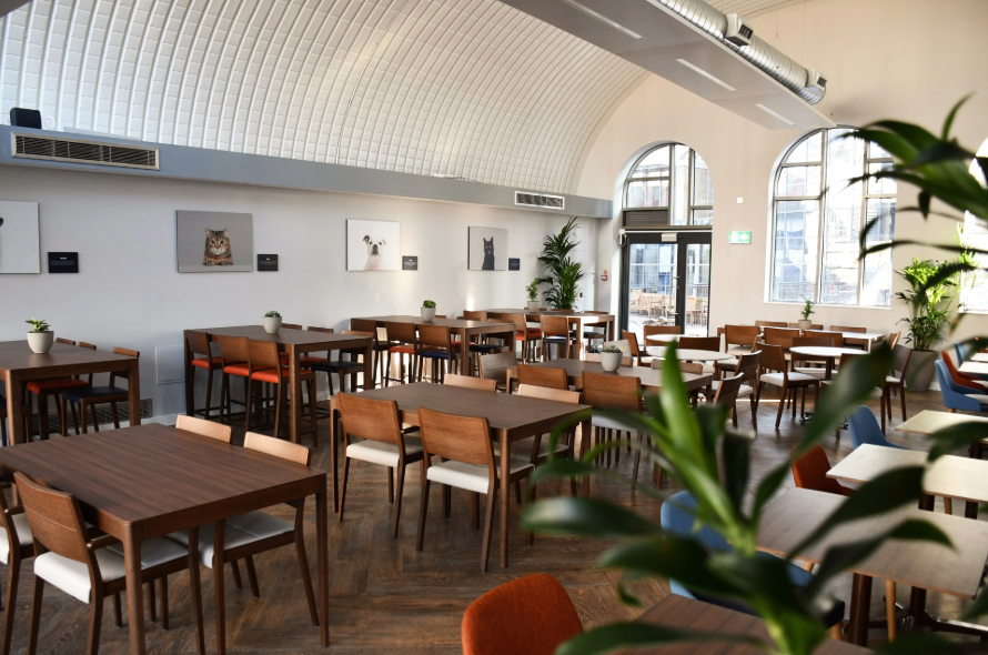 Cafe filled with tables, chairs and plants