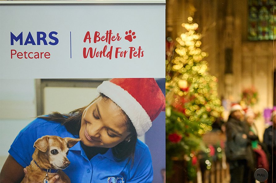 Christmas carol concert