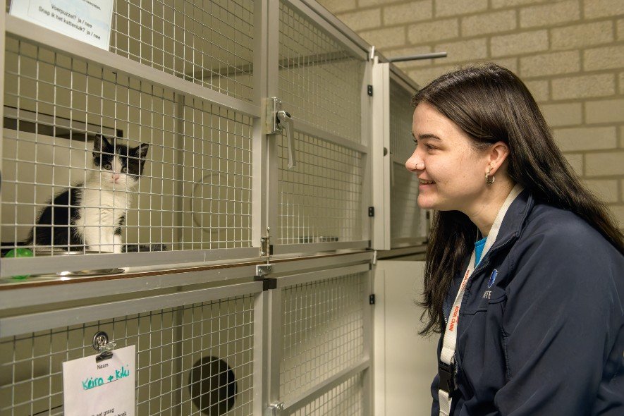 Kitten with Staff Smiling