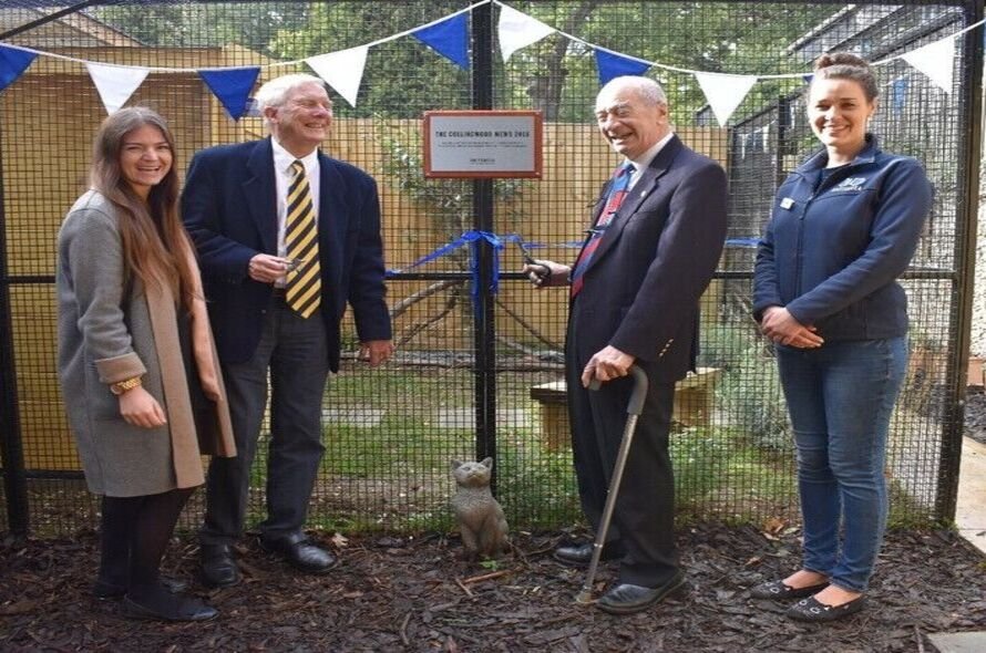 Battersea Philanthropists opening a new cattery
