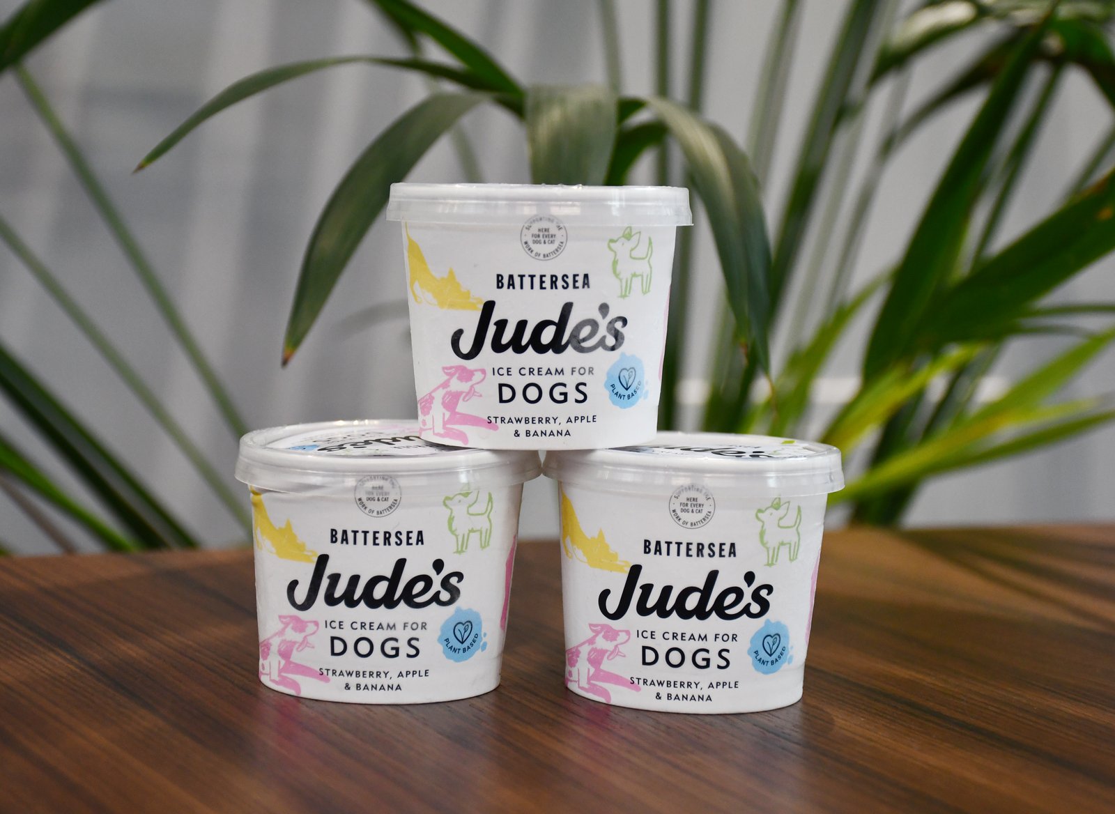 A stack of Jude's ice cream