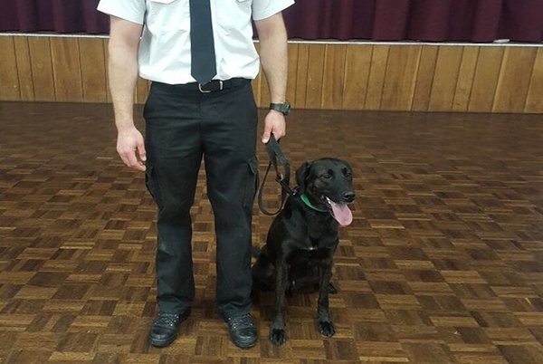 Raff the black dog sitting next to police officer