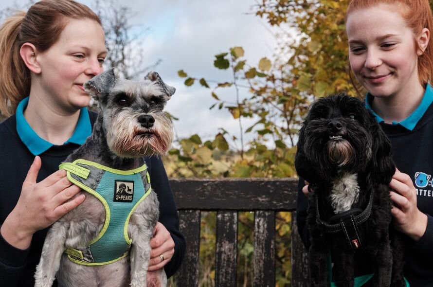 Two people sitting on a bench with a dog on their lap