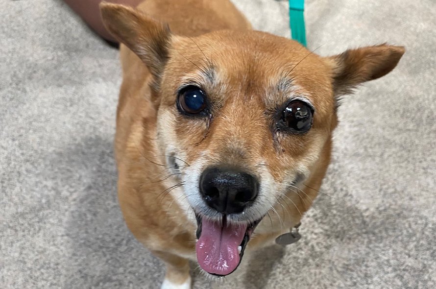 Umi looking towards the camera