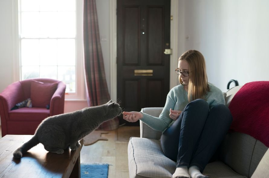 Woman reaching out to cat and giving them a treat