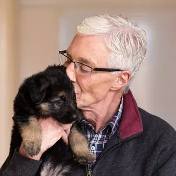 Our board of trustees, directors and ambassadors