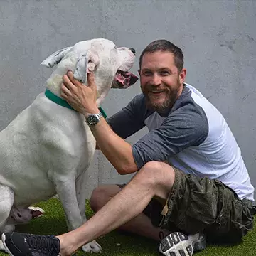 Our board of trustees, directors and ambassadors