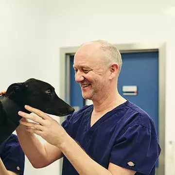 Our board of trustees, directors and ambassadors