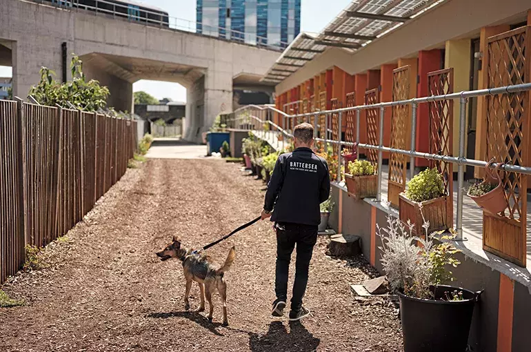 SLIDE - More about us