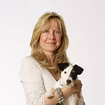 Our board of trustees, directors and ambassadors