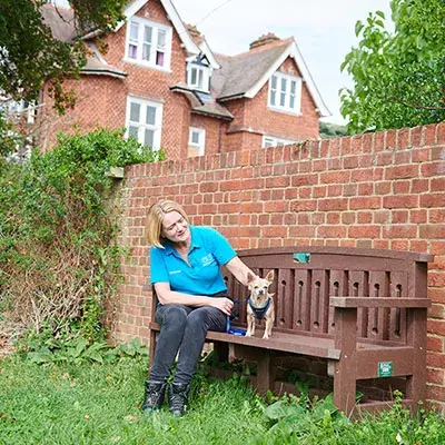 Search for news and stories