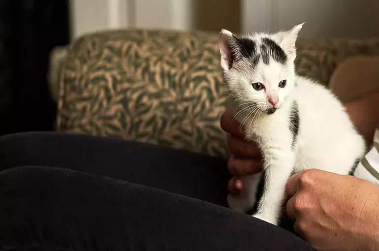 SLIDE - Cost of Living Support