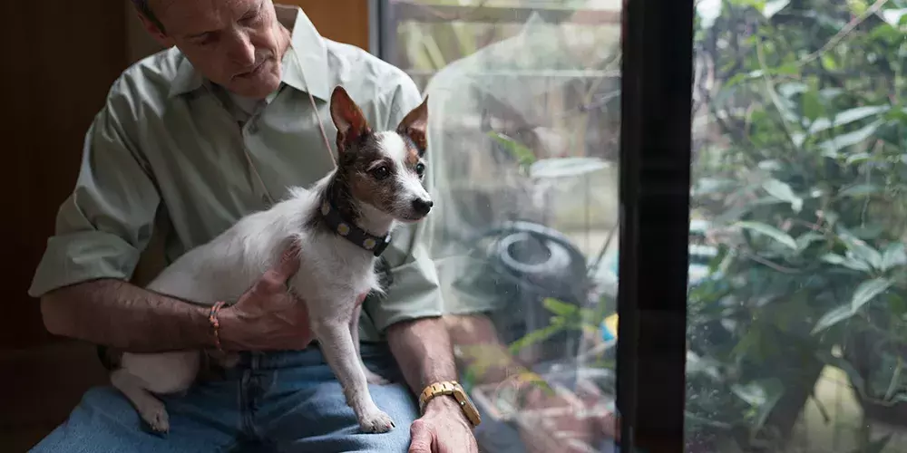 Slide - Pet Memorials