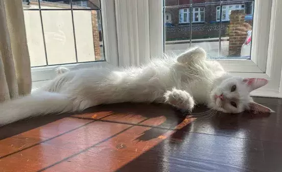 Search for news and stories