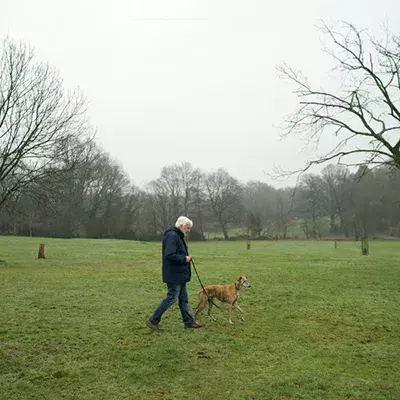 How to find a dog walker, day care or dog sitter