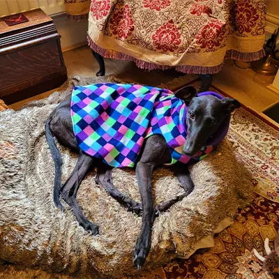 Search for news and stories